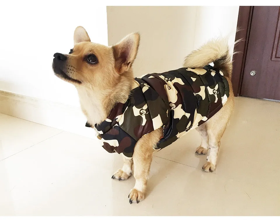 Camouflage Vest