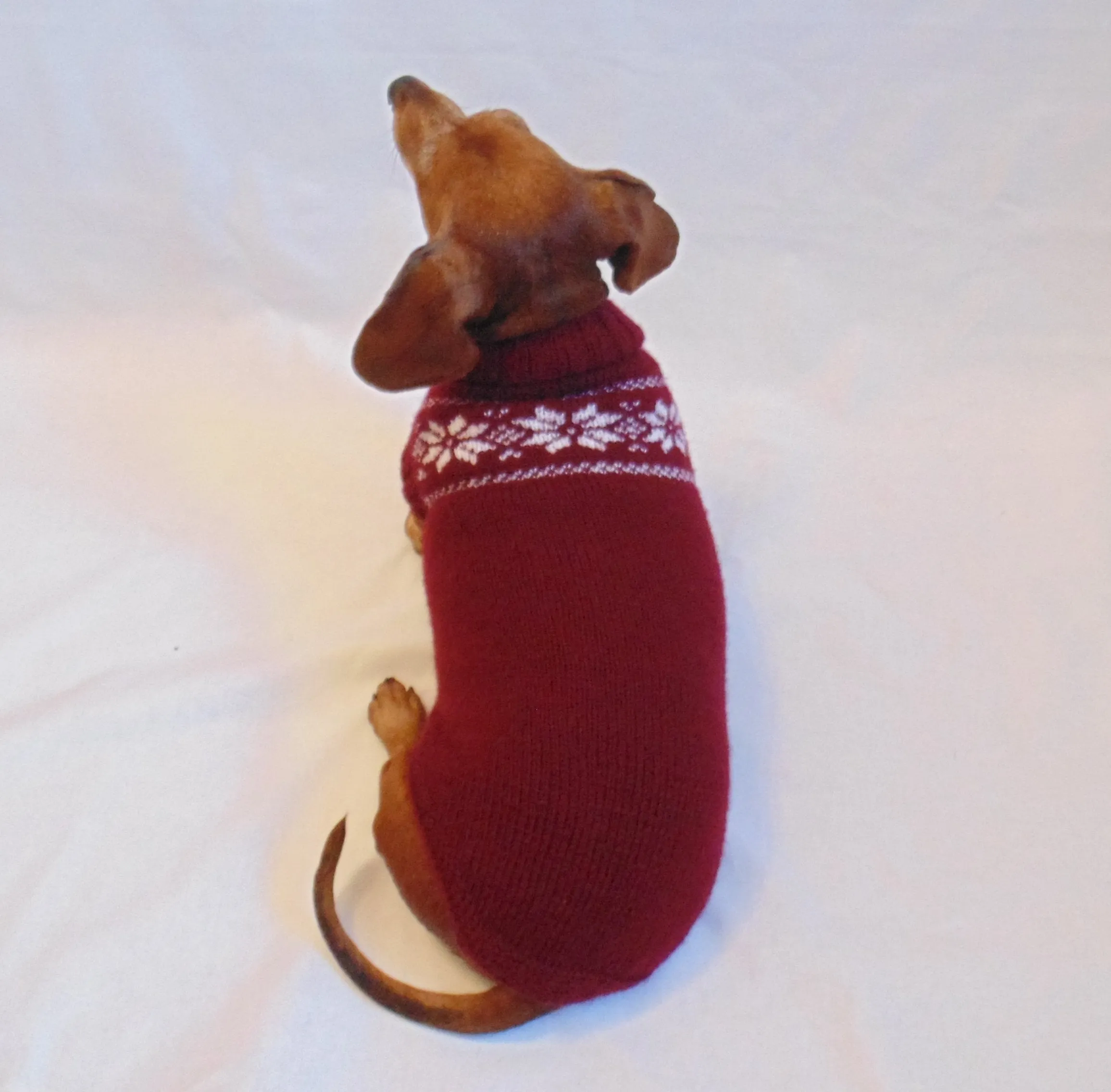 Christmas knitted sweater with snowflakes for a dog, clothes for dachshund