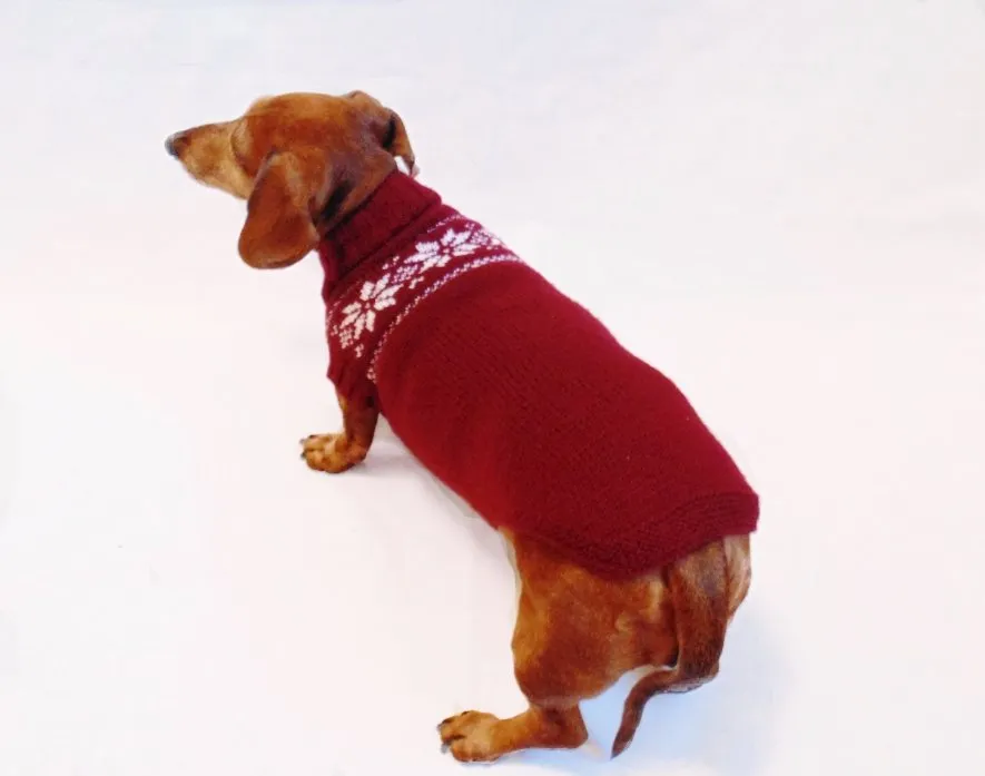 Christmas knitted sweater with snowflakes for a dog, clothes for dachshund