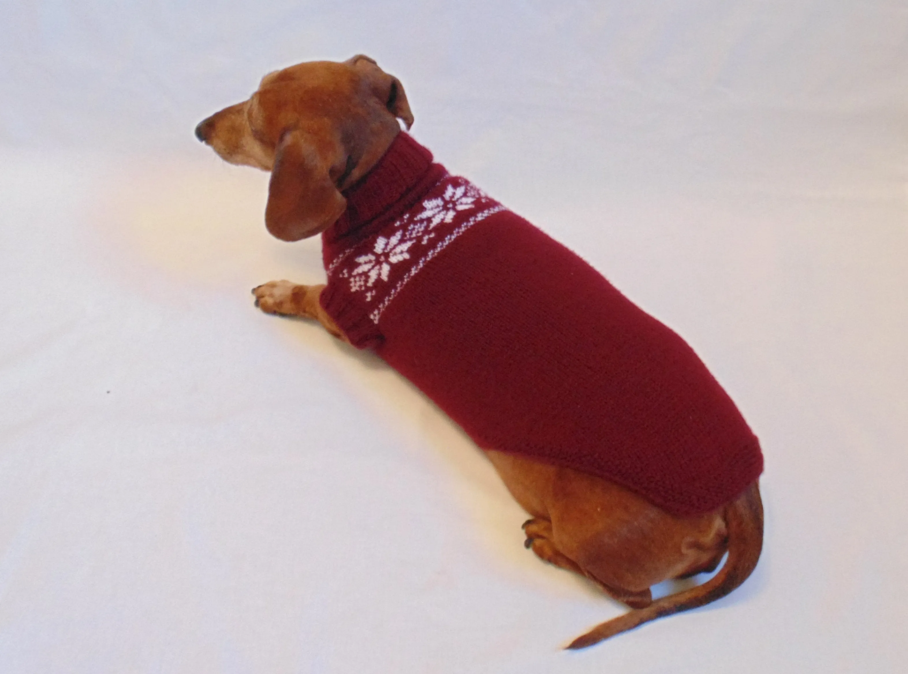 Christmas knitted sweater with snowflakes for a dog, clothes for dachshund