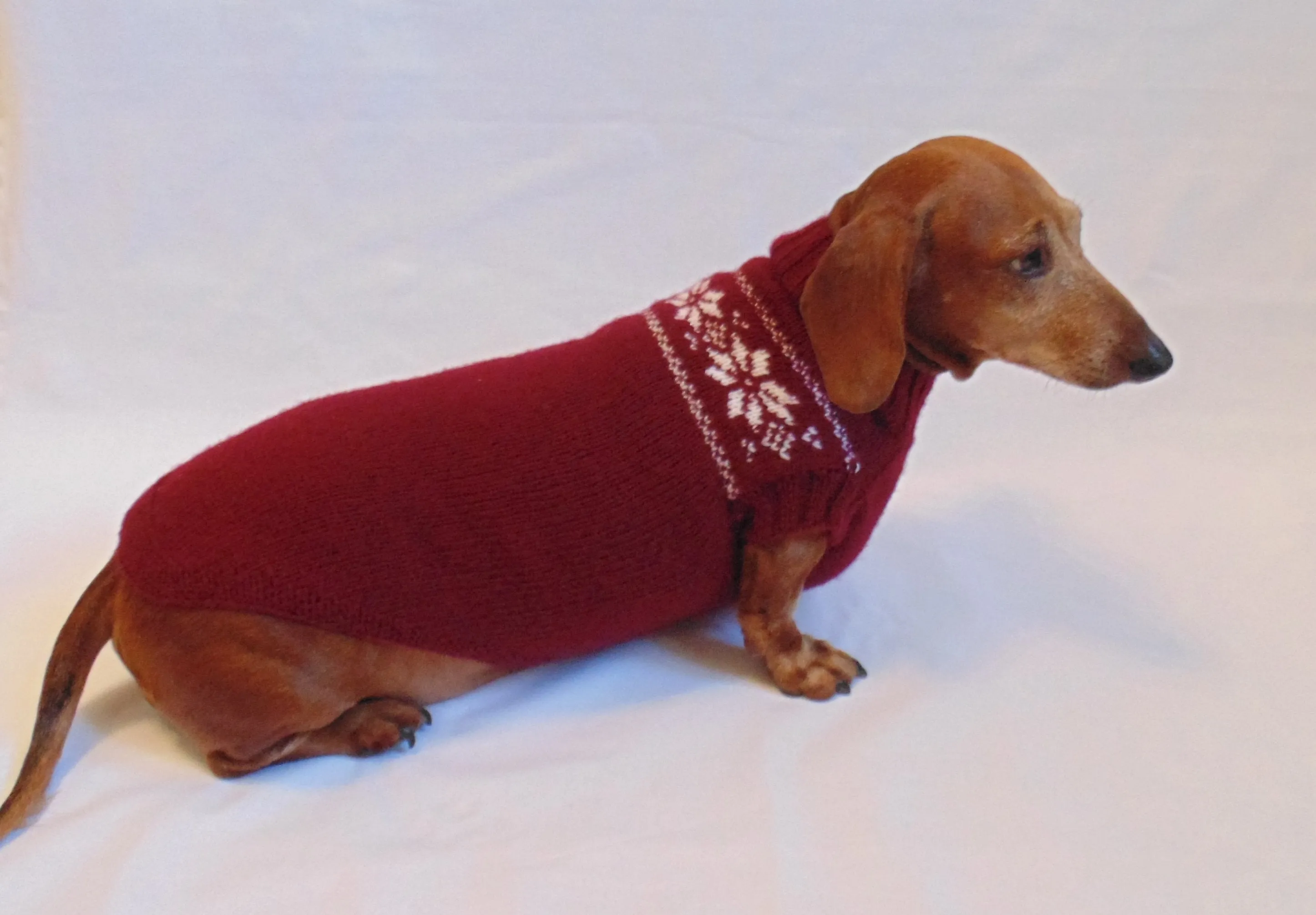 Christmas knitted sweater with snowflakes for a dog, clothes for dachshund