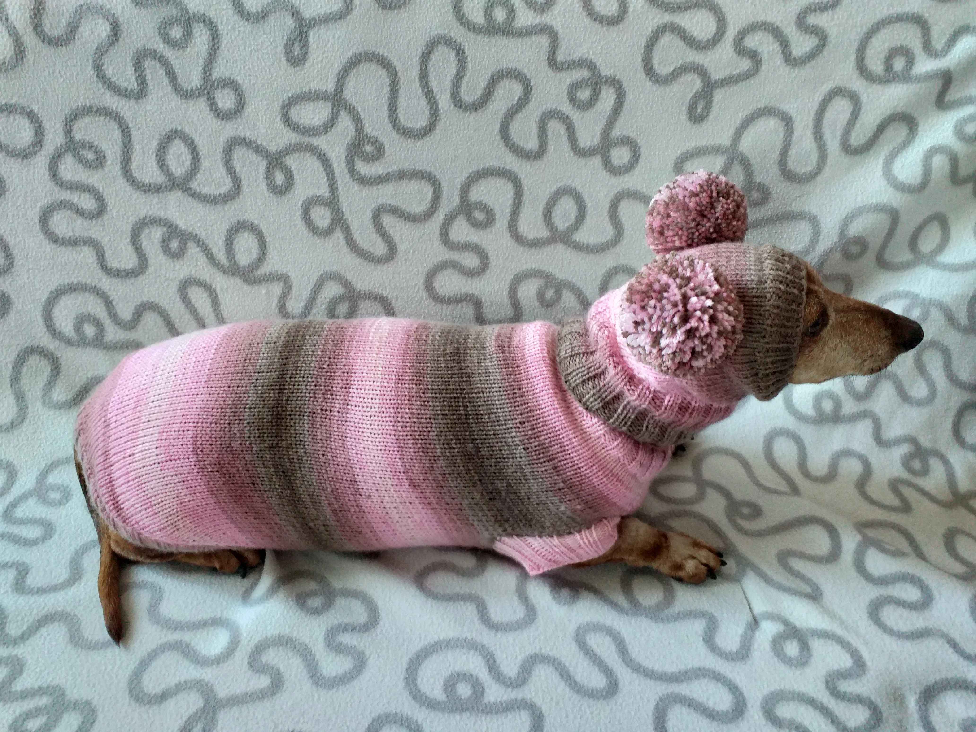 Costume for miniature dachshund sweater and hat, Doxie sweater and hat set