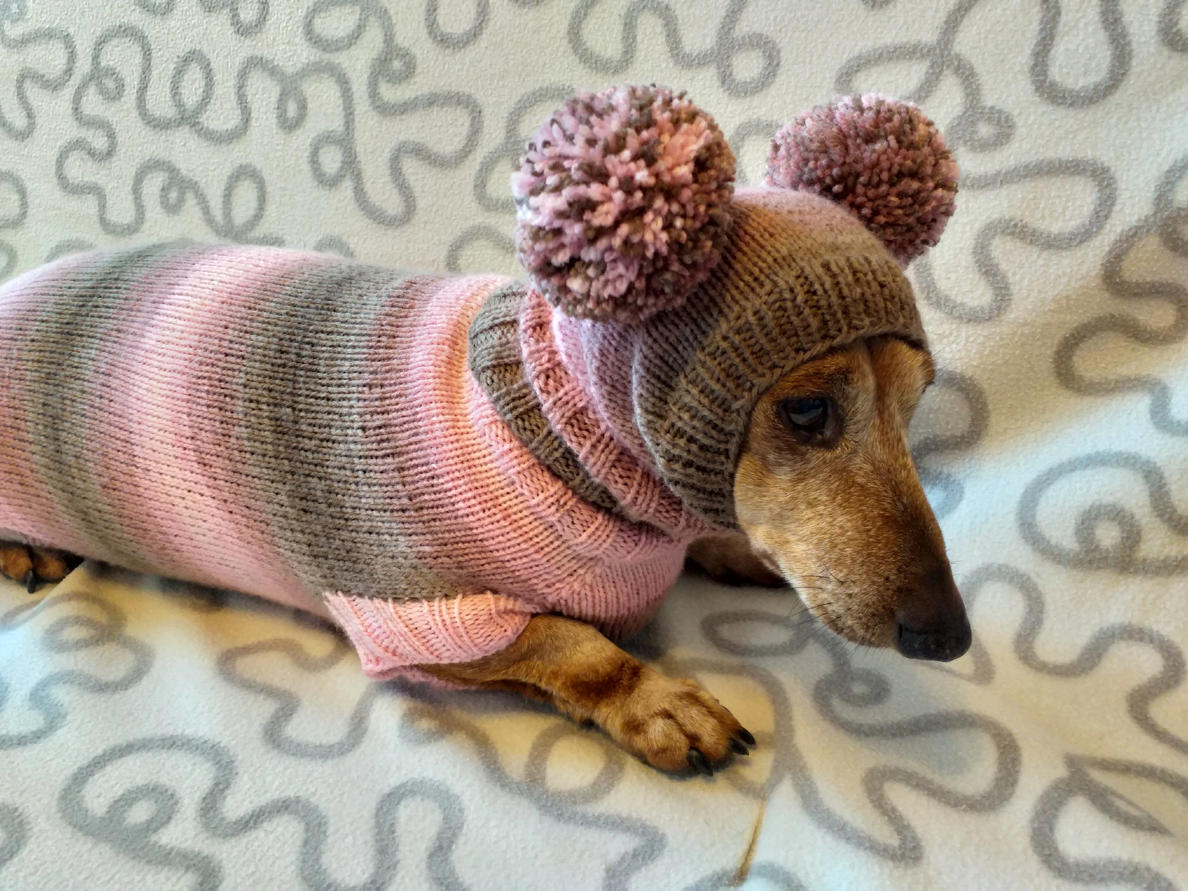 Costume for miniature dachshund sweater and hat, Doxie sweater and hat set