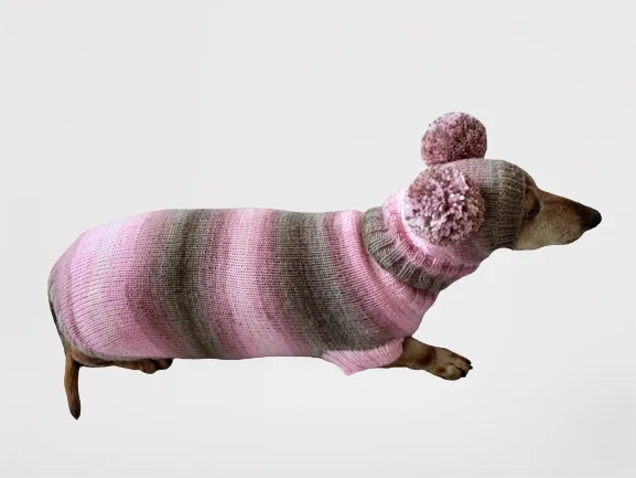 Costume for miniature dachshund sweater and hat, Doxie sweater and hat set