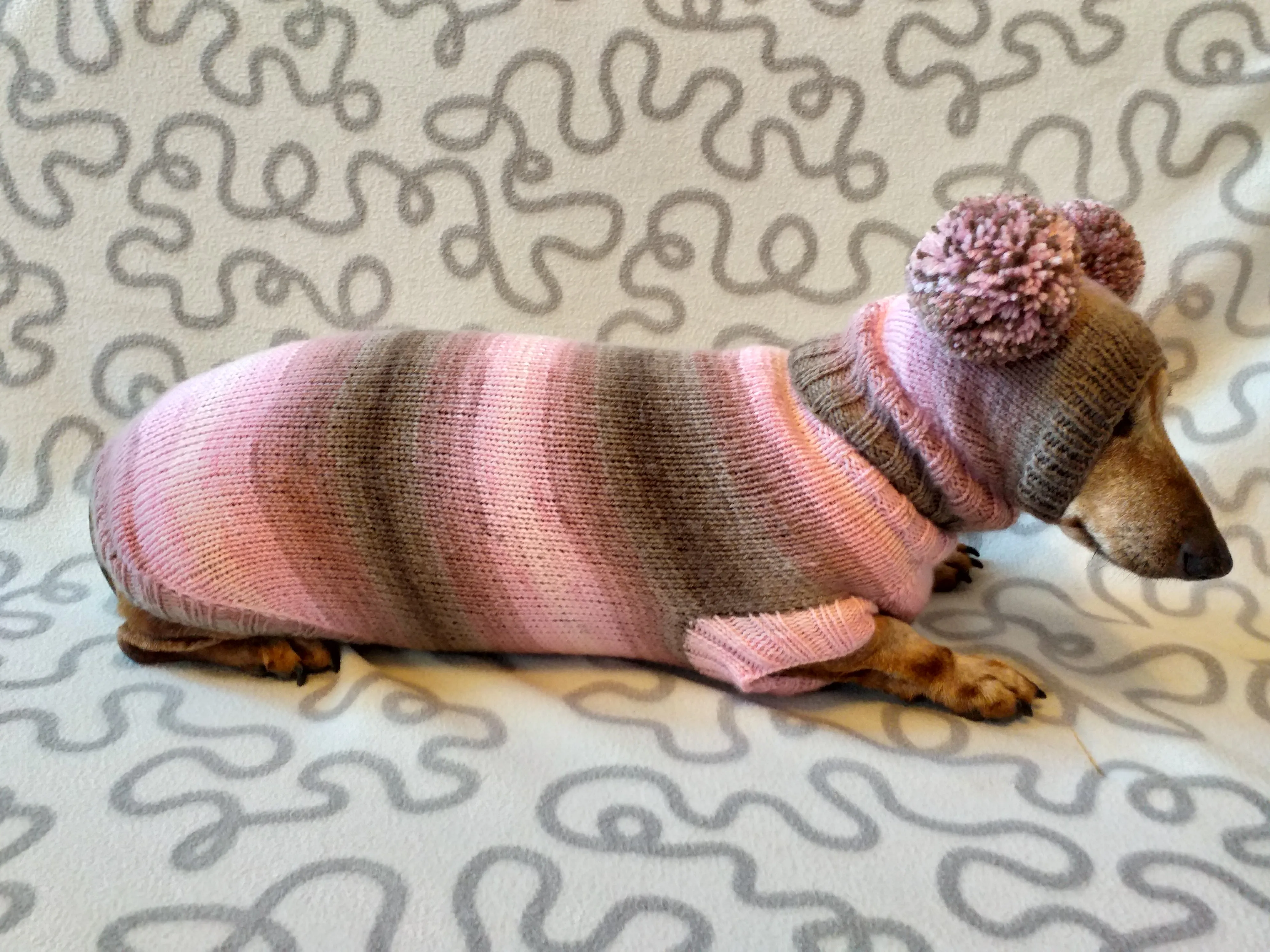 Costume for miniature dachshund sweater and hat, Doxie sweater and hat set