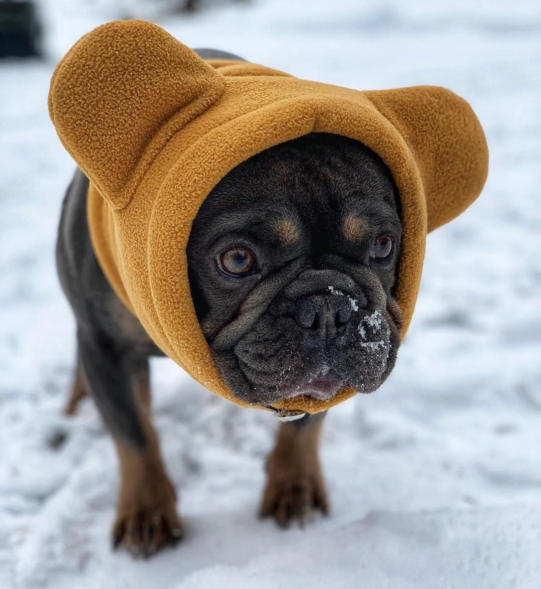 Frenchiestore Organic Dog Frenchie Ear Warmers | Fawn Frenchie