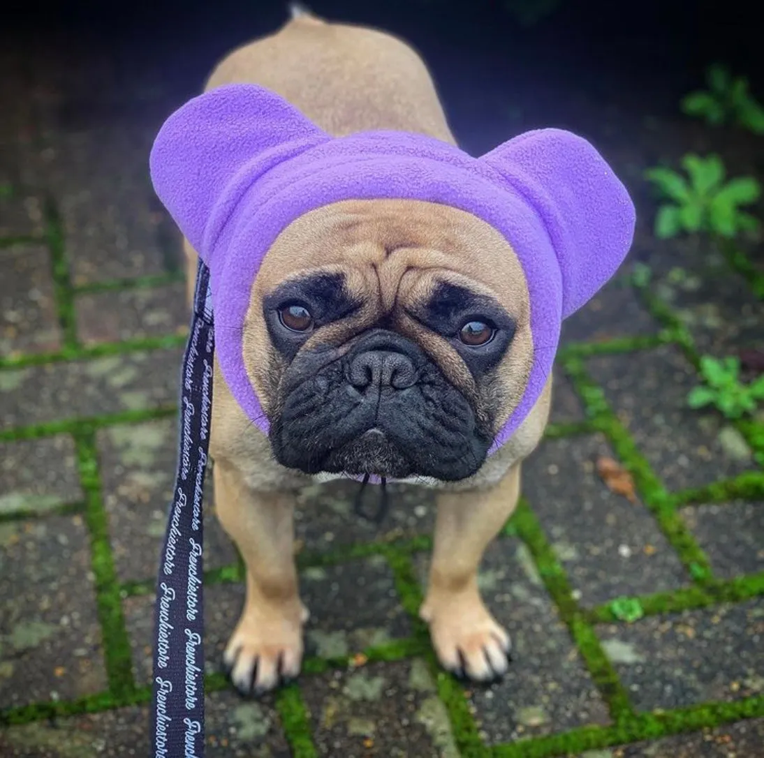 Frenchiestore Organic Dog Frenchie Ear Warmers | Purple