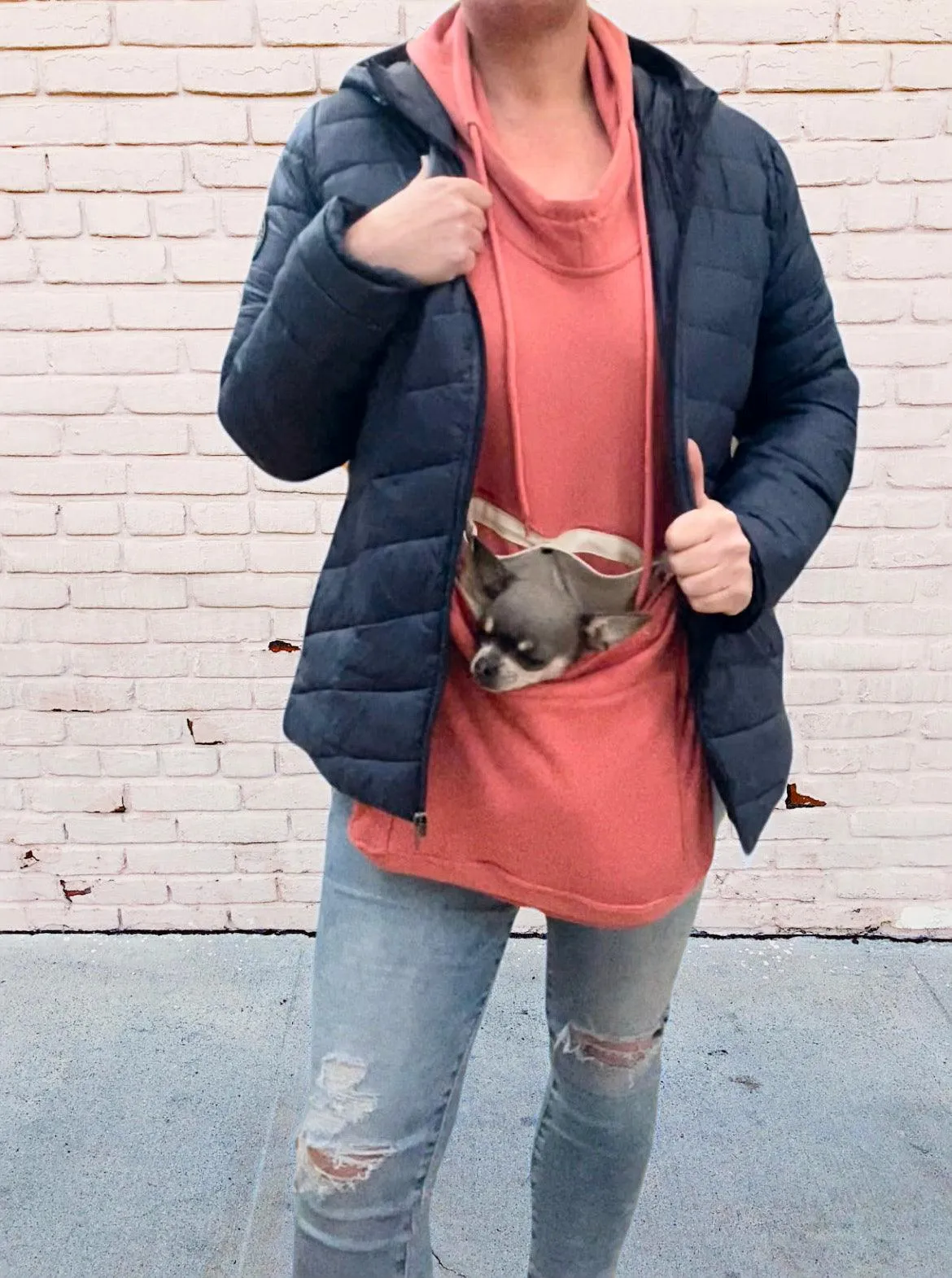 Pet Pocket Hoodie Carrier sweater, with custom pet portrait