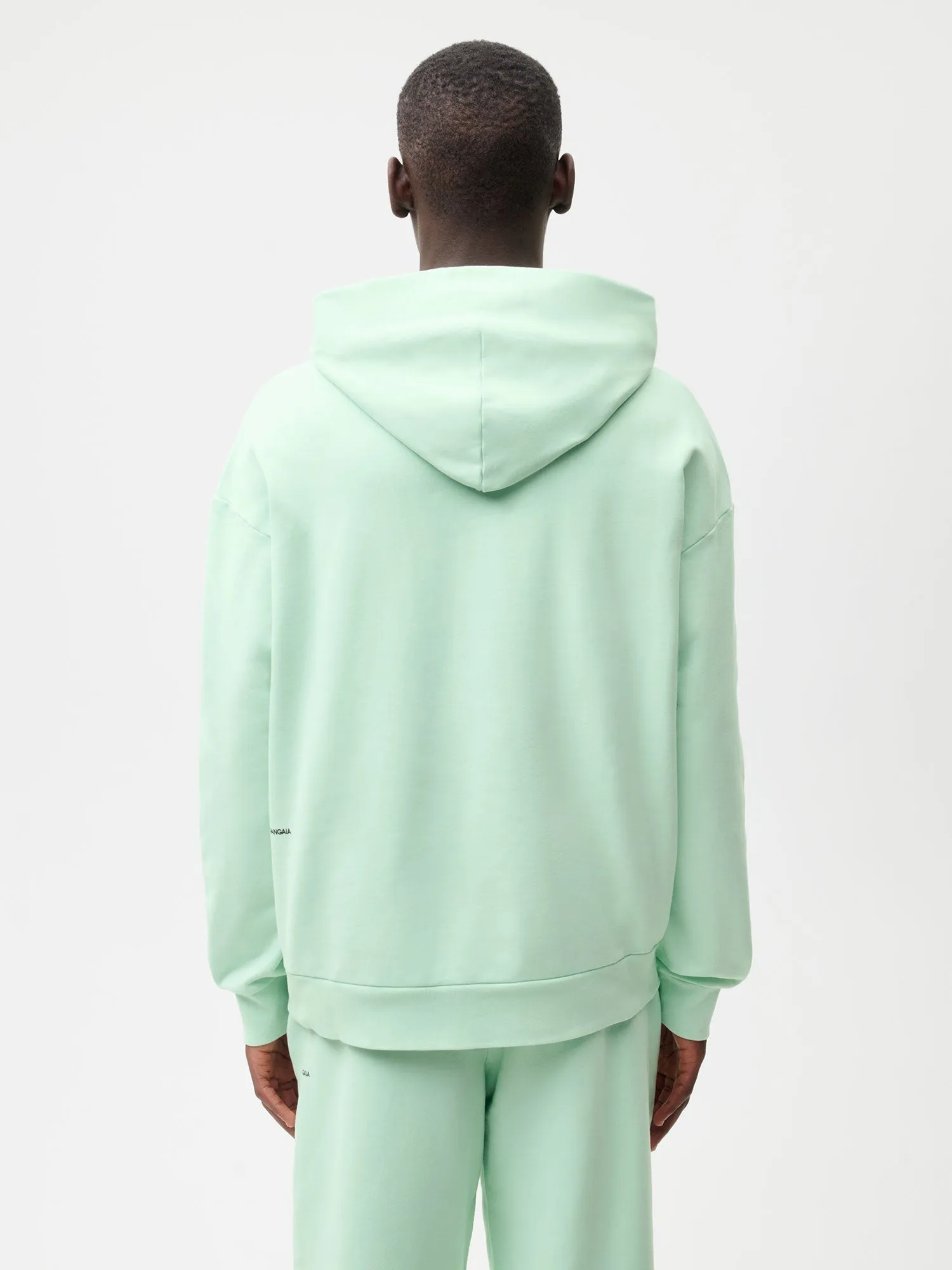 Re-Color Hoodie—aloe green